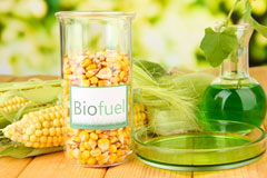 Stelling Minnis biofuel availability