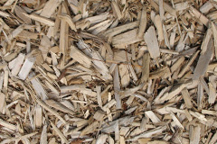 biomass boilers Stelling Minnis
